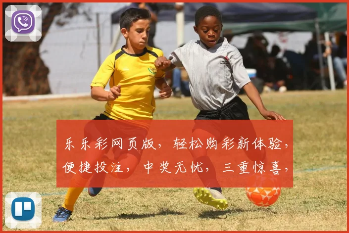 乐乐彩网页版，轻松购彩新体验，便捷投注，中奖无忧，三重惊喜，尽在掌握