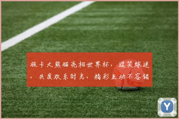 旅卡大熊猫亮相世界杯，逗笑球迷，共度欢乐时光，精彩互动不容错过