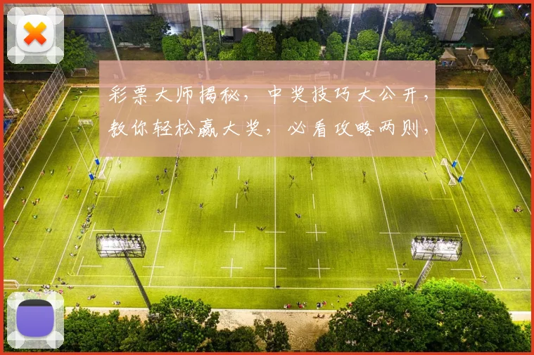 彩票大师揭秘，中奖技巧大公开，教你轻松赢大奖，必看攻略两则，速收藏